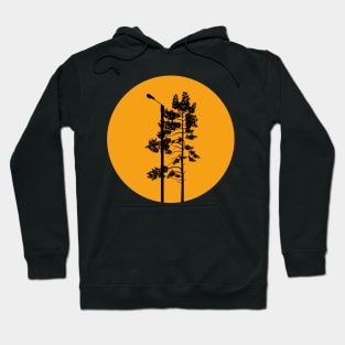 Silhouette in the evening Hoodie